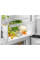 Холодильник ELECTROLUX RNT6TE19S0