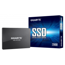SSD-диск Gigabyte GP-GSTFS31256GTND